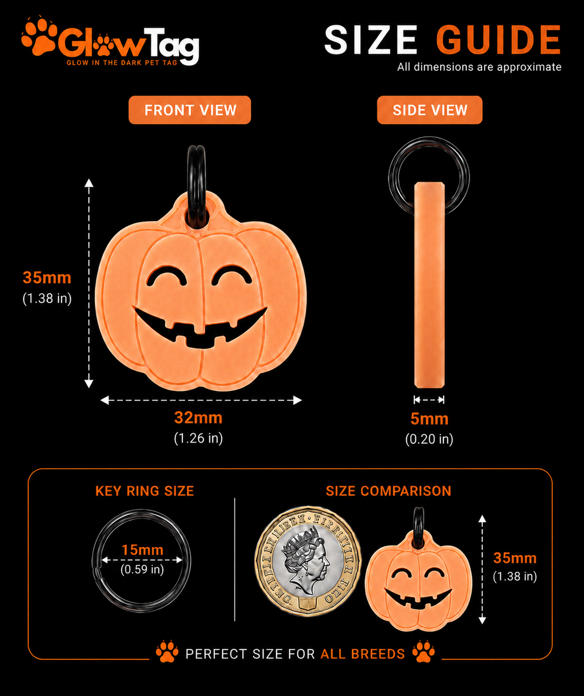 Glow in the Dark Pumpkin Pet Tag – Halloween Dog & Cat Tag