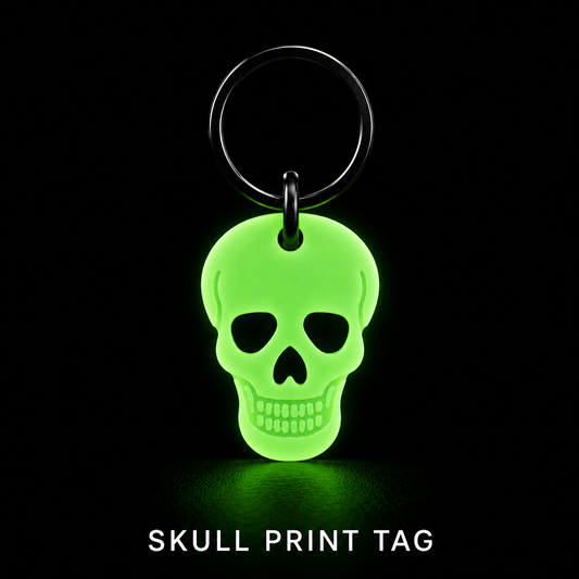 Glow in the Dark Pet Tag – Spooky Skull | GlowTag