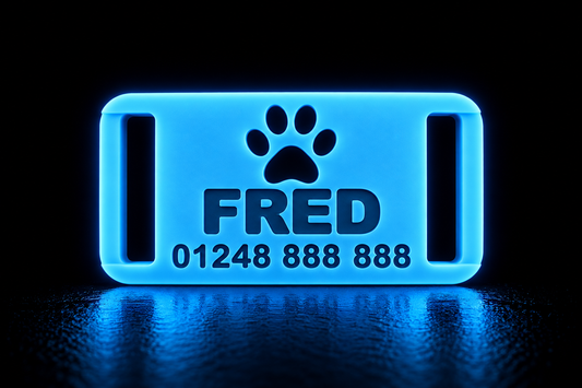 Personalised Glow in the Dark Slide Dog Tag – Name & Phone Number Collar Tag