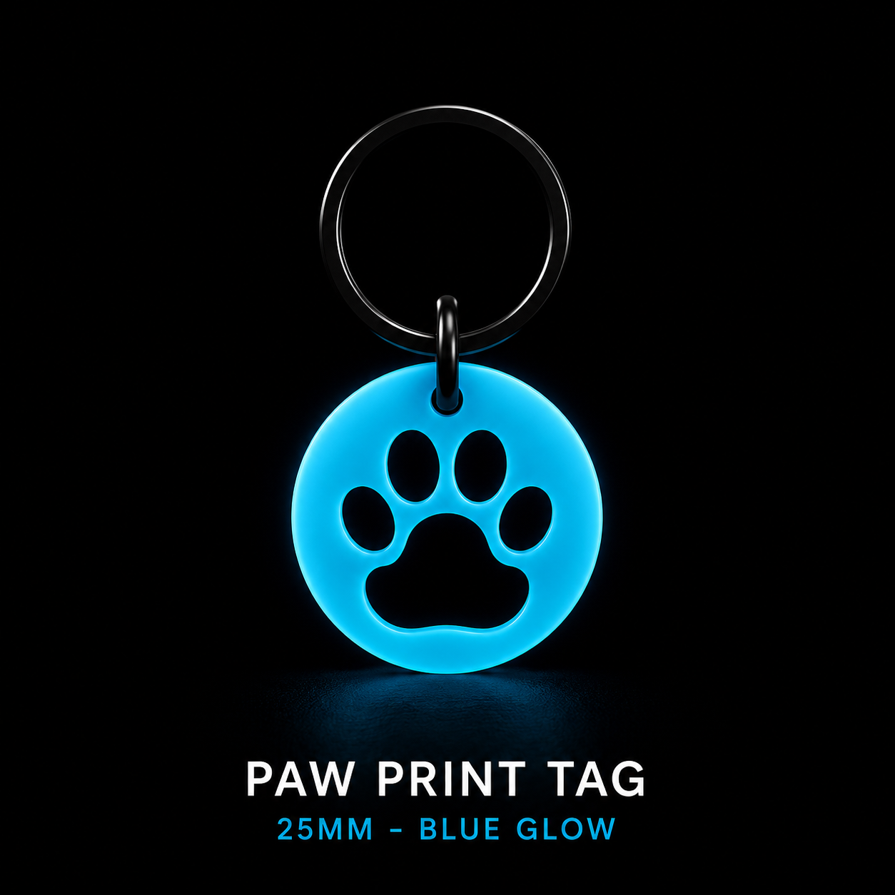 Glow in the Dark Dog Tag – 25mm | GlowTag